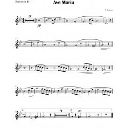 Beautiful Classical Songs for CLARINET and Piano Accompaniment