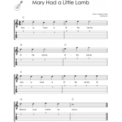 First 100 Songs to Play on Guitar Songbook for Beginners