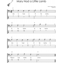 First 100 Songs to Play on Bass I Easy Solos for Beginners
