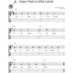 First 100 Songs to Play on Banjo I Songbook for Beginners