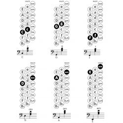 First 100 Songs to Play on Accordion I Songbook for Beginners