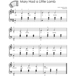 First 100 Songs to Play on Accordion I Songbook for Beginners