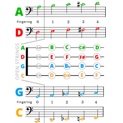 First 100 Songs to Play on Cello I Popular Songs in First Position I Songbook for Beginners