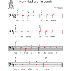 First 100 Songs to Play on Cello I Popular Songs in First Position I Songbook for Beginners