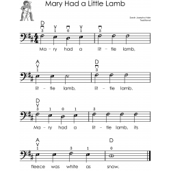 First 100 Songs to Play on Cello I Songbook for Beginners