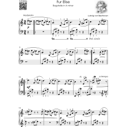 Beethoven - Beautiful Piano Songs for Beginners - Fur Elise, Ode To Joy, Symphony No. 5, Pathetique Sonata, Moonlight Sonata