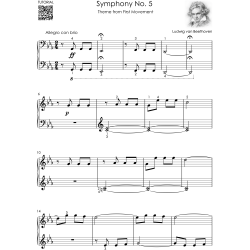 Beethoven - Beautiful Piano Songs for Beginners - Fur Elise, Ode To Joy, Symphony No. 5, Pathetique Sonata, Moonlight Sonata
